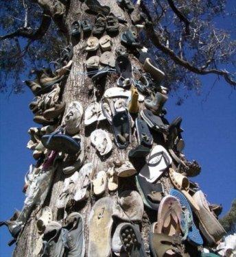 İnternetin en çılgın fotoğrafları