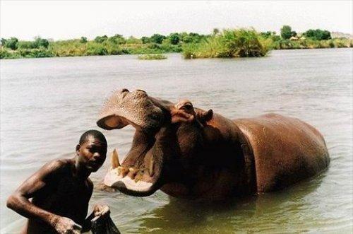 İnternetin en çılgın fotoğrafları