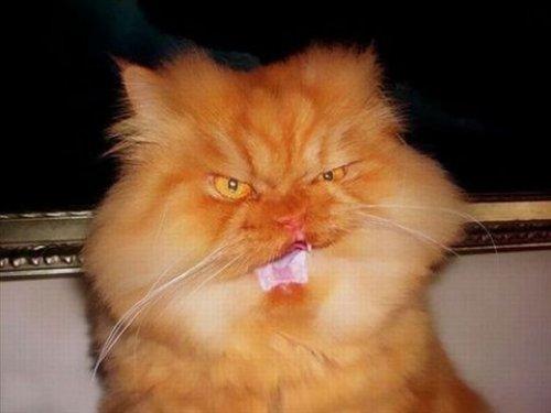 İnternetin en çılgın fotoğrafları