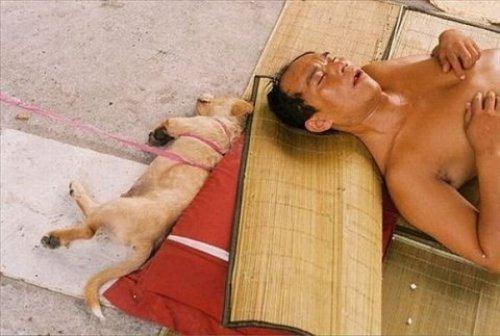 İnternetin en çılgın fotoğrafları