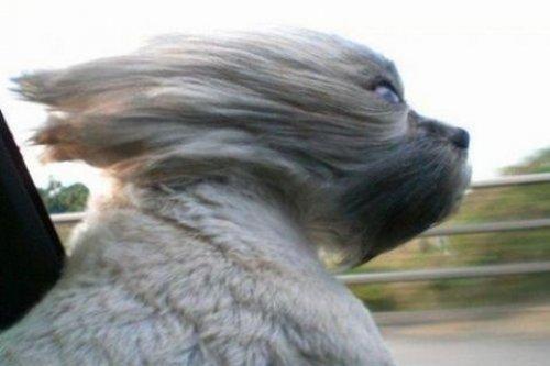 İnternetin en çılgın fotoğrafları