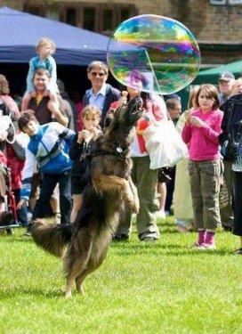 İnternetin en çılgın fotoğrafları