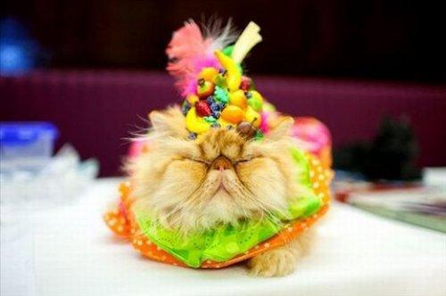 İnternetin en çılgın fotoğrafları