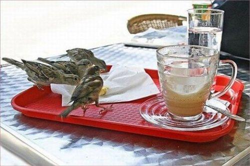 İnternetin en çılgın fotoğrafları