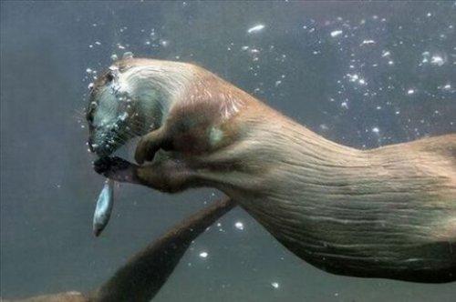 İnternetin en çılgın fotoğrafları