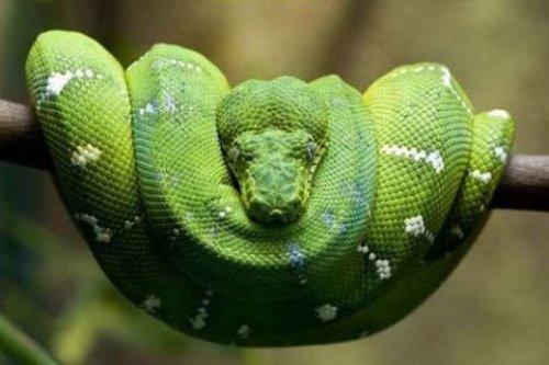 İnternetin en çılgın fotoğrafları