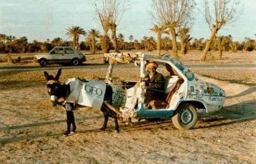 İnternetin en çılgın fotoğrafları