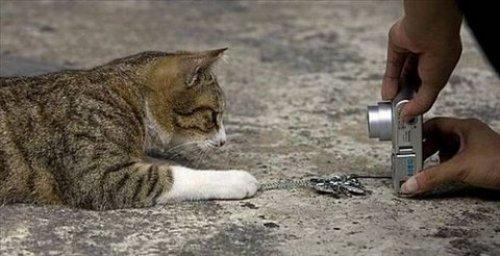 İnternetin en çılgın fotoğrafları