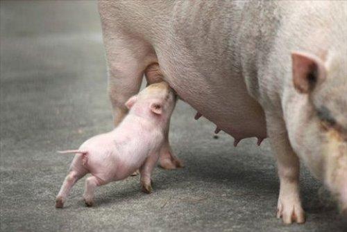 İnternetin en çılgın fotoğrafları