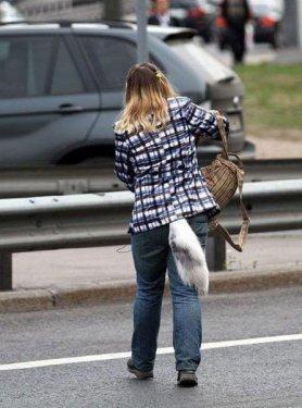 İnternetin en çılgın fotoğrafları