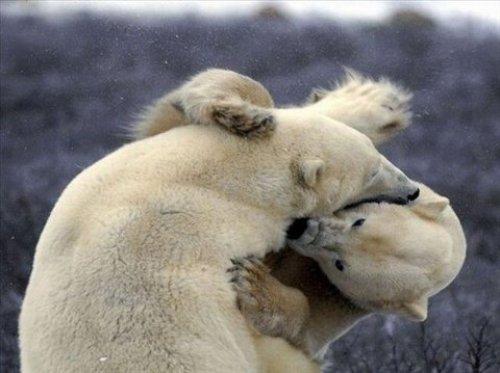 İnternetin en çılgın fotoğrafları
