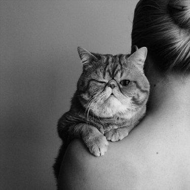 İnternetin en çılgın fotoğrafları