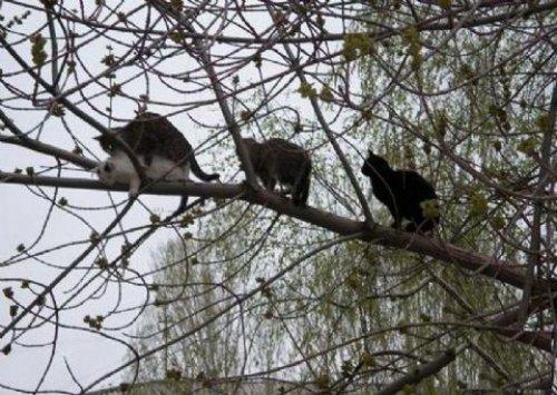 İnternetin en çılgın fotoğrafları