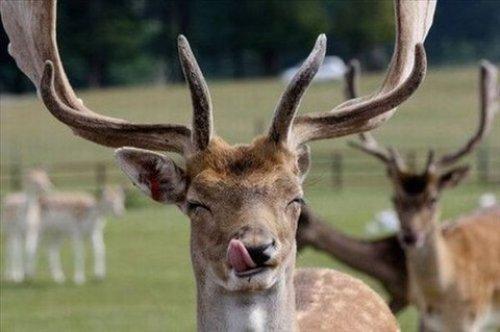 İnternetin en çılgın fotoğrafları