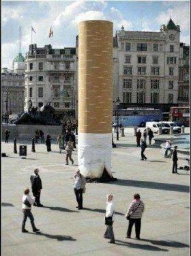 İnternetin en çılgın fotoğrafları