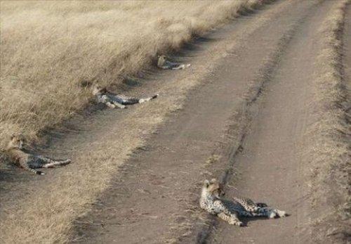 İnternetin en çılgın fotoğrafları