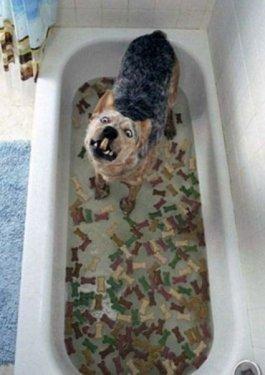 İnternetin en çılgın fotoğrafları