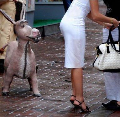 İnternetin en çılgın fotoğrafları