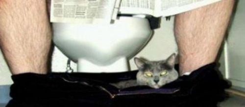 İnternetin en çılgın fotoğrafları