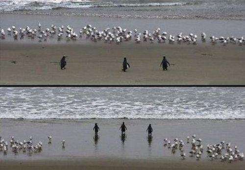 İnternetin en çılgın fotoğrafları