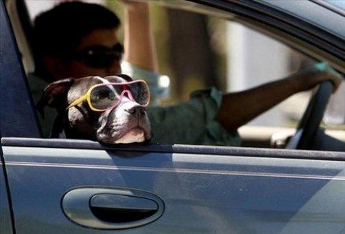 İnternetin en çılgın fotoğrafları