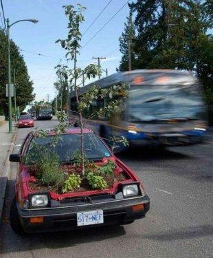 İnternetin en çılgın fotoğrafları