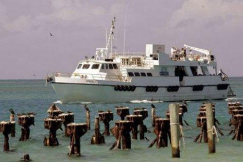 İnternetin en çılgın fotoğrafları