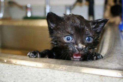 İnternetin en çılgın fotoğrafları