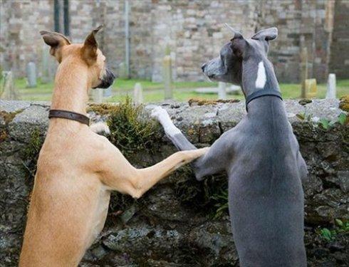 İnternetin en çılgın fotoğrafları