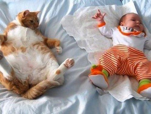 İnternetin en çılgın fotoğrafları