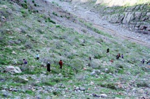BDP'liler dağlarda PKK'lı cenazesi aradı  - Resim 6
