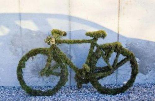 İnternetin en çılgın fotoğrafları