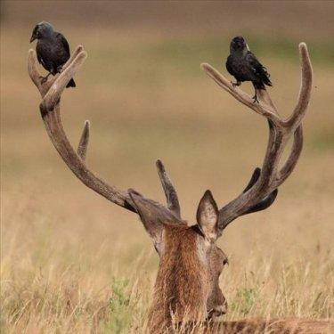 İnternetin en çılgın fotoğrafları