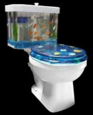 İnternetin en çılgın fotoğrafları