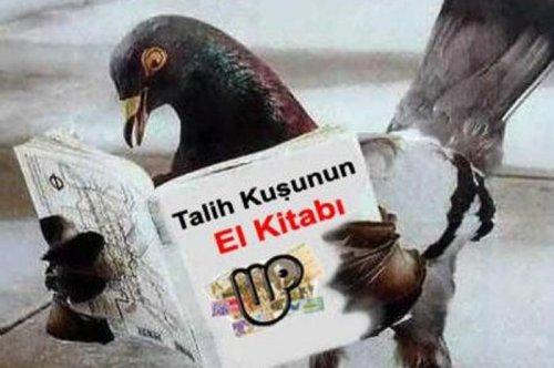 En komik Twitter geyikleri