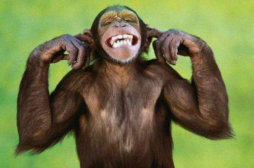 En komik Twitter geyikleri