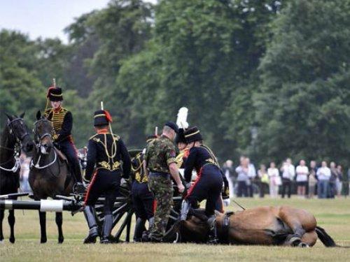 Herkesin gözü önünde öldürdüler