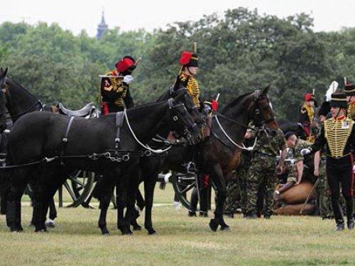 Herkesin gözü önünde öldürdüler