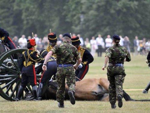 Herkesin gözü önünde öldürdüler