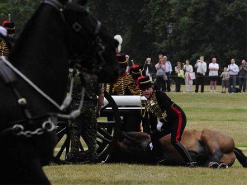 Herkesin gözü önünde öldürdüler