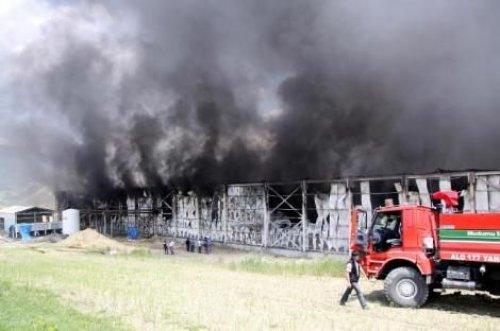 Piliç fabrikası alev alev yandı - Resim 10