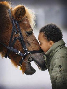 Türkiye'nin ödüllü fotoğrafları