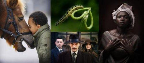 Türkiye'nin ödüllü fotoğrafları