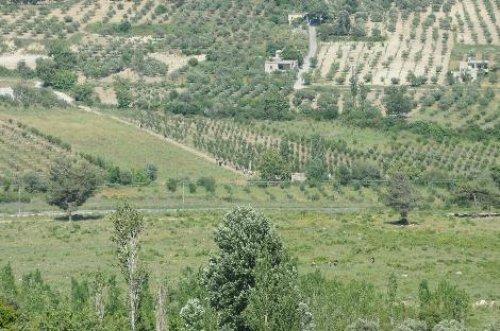 Suriye sınırından son görüntüler