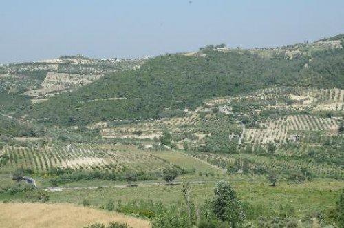 Suriye sınırından son görüntüler