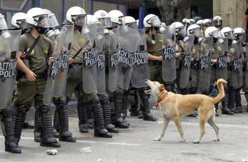 Yunanistan savaş alanına döndü  - Resim 26