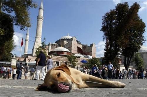 Reuters objektifinden İstanbul'da hayat - Resim 20