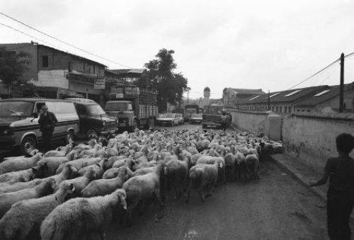 Bir zamanlar Çarşı Pazar İstanbul - Resim 18