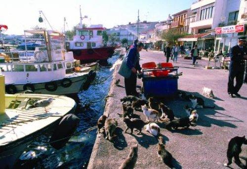 Bir zamanlar Çarşı Pazar İstanbul - Resim 24