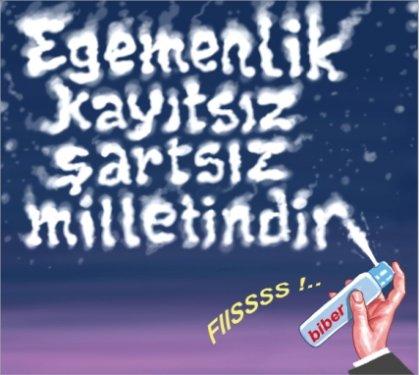 TBMM yemin töreni karikatürlere konu oldu - Resim 1